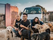 Bloodywood Combats Loss with Canine Themed Music Video “Yaad” Bloodywood