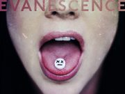 Evanescence – The Bitter Truth | Album Review Evanescence The Bitter Truth