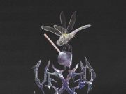 Vexed – Negative Energy | Album Review