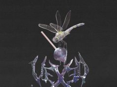 Vexed – Negative Energy | Album Review