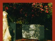 Casey – How To Disappear | Album Review Casey How To Disappear