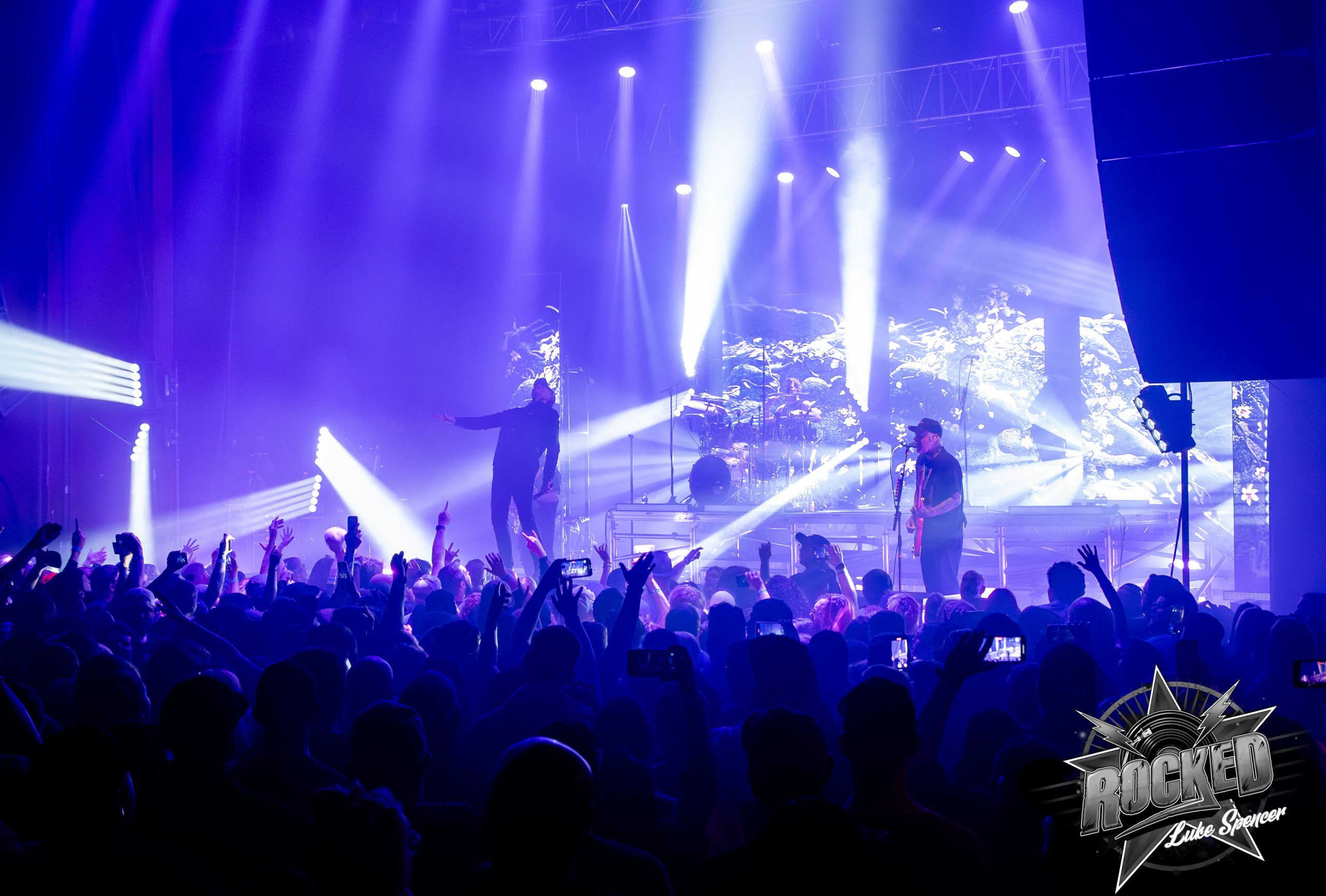 The Amity Affliction