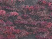 Sleep Token – Even In Arcadia | Album Review Sleep Token Even In Arcadia