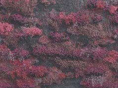 Sleep Token – Even In Arcadia | Album Review Sleep Token Even In Arcadia